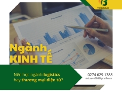 Nên học ngành logistics hay thương mại điện tử?
