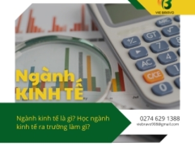 Ngành kinh tế là gì? 