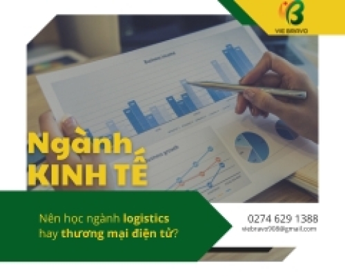 Nên học ngành logistics hay thương mại điện tử?